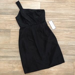 NWT J. Crew 100% Silk Lucienne Dress